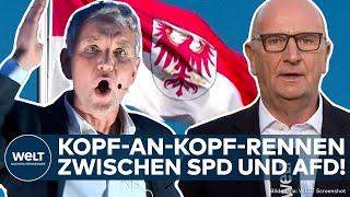 BRANDENBURG: Höcke heizt AfD-Wähler in Cottbus an! SPD-Ministerpräsident bangt um seinen Posten