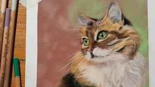 Art cat | Art cat pastel | Cat