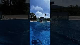The Art of the Fly Stroke