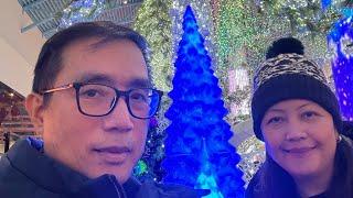 Christmas vibes at Crossiron mills, Calgary, Canada - (Vlog #7)