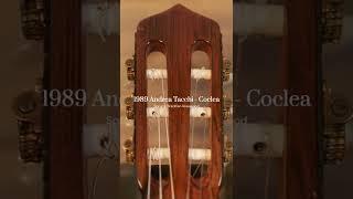 Andrea Tacchi - One Of The Most Sought After Classical Guitars | Siccas Guitars #shorts