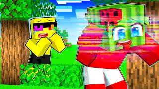 Melon has a VIRUS in Minecraft!