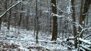 Hiking Halcott High Peak | Catskills, NY | 11/3/2012