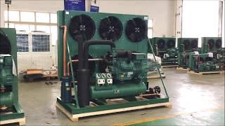 Bitzer two-stage compressor condensing unit