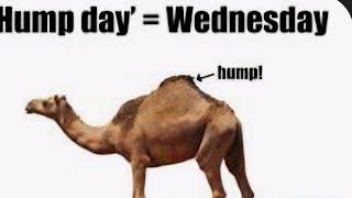 Happy Hump day