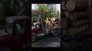 Intercontinental | Transporting the logs | SnowRunner
