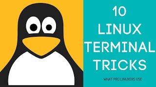 Linux Terminal Tricks: Use Linux Like a Pro With These Commands and Shortcuts