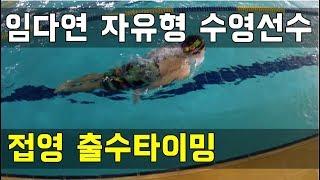 SHC 수영 강좌_임다연 코치님  접영 드릴(출수타이밍)