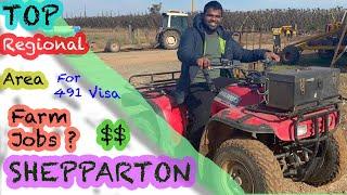 A Day In the Life Of - Fruit Farming ( Shepparton )