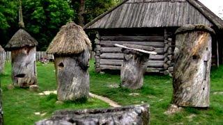 National Museum of Folk Architecture and Rural Life of Ukraine! Kyiv. Part 2