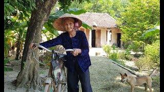 Bí Ẩn Chiếc Quan Tài Bên Trong Ngôi Nhà Của Cụ Bà 83 Tuổi Ở Thanh Hóa Đạp Xe Lên Xã Xin Thoát Nghèo