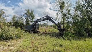 Clearing Out For A View Behind The Cabin!! [Pond Project]