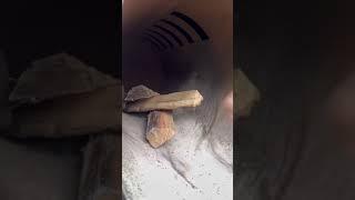 GQue BBQ- Rolling The Smoke