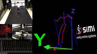 Cross Country Skiing - Roller Ski technique Analysis