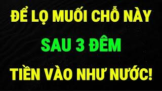 ĐỂ LỌ MUỐI Ở VỊ TRÍ NÀY, CHỈ SAU 3 ĐÊM, TIỀN VỀ NHƯ LŨ - Lời Phật Dạy