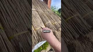 How This Ancient Roof Technique Remains Effective  (@thethatchingguy)