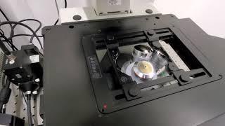 Fluorescence Microscopy - Hardware, Software and Demonstration