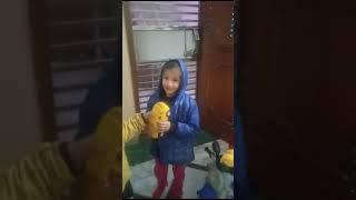 laddu ka little teddy