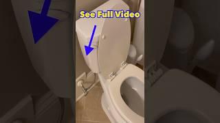 Food Coloring  in Toilet Troubleshooting? #shorts