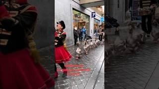 Goose March |  Marching goose