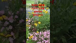 잠시지만 힐링하세요.  영상:조  아