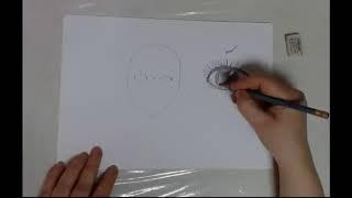 Обучающий ролик. Рисуем портрет человека. Схема. Карандаш.