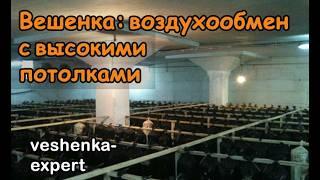 Воздухообмен для вешенки - как настроить. Где разместить вытяжку? Камеры с высокими потолками.