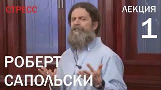 Лекция №1. Роберт Сапольски — Почему у зебр не бывает язвы. Почему у нас бывает