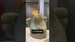 Морская Звезда Удивительно Красива 