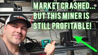 Crypto crashed but these are still my most profitable home miners!