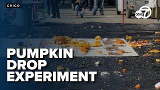 Chico State's annual Pumpkin Drop Experiment teaches physics to local elementary students