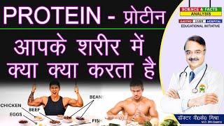 प्रोटीन आपके शरीर में क्या क्या करता है || WHAT PROTEIN DOES FOR YOUR BODY