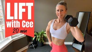 20min FULL BODY DUMBBELL workout at home standing FB27