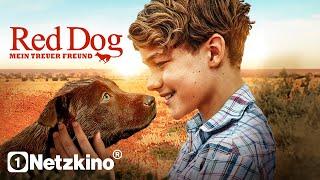 Red Dog: True Blue (ADVENTURE FILM in full length, family films German complete 2024)