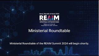 REAIM 2024 Ministerial Roundtable