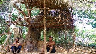 Primitive Tool : Build Primitive Tree  House In Forest