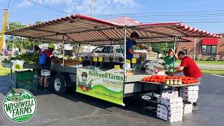 FARMERS' MARKET BONANZA:  BIG MONEY HAUL FROM 6 LOCATIONS