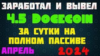 Заработал и вывел 4.5 Dogecoin за сутки на полном пассиве