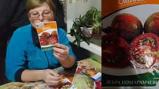 Огляд насіння томатів,індетермінантів, високі на сезон 2025 !  20.12.2024