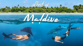 The BEST ACTIVITIES in the MALDIVES - For all budgets