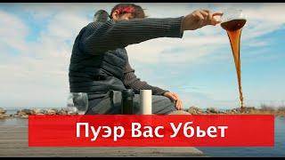 ПУЭР вас убьет. Ладога Добронравов. Чай без суеты.