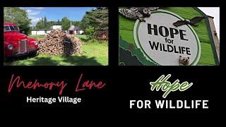 Hope for Wildlife and Memory Lane Heritage Village Vlog