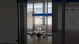 #이상한PDLC  #pdlc #인테리어 #pdlc필름 #카페 #매직글라스 #interior #스마트글라스 #스마트필름 #파티션 #이동식파티션 #이동식칸막이 #스마트파티션