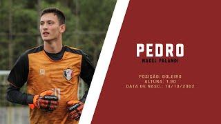 Pedro Nagel Palandi | Goleiro // Goalkeeper