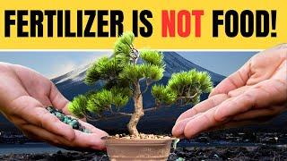 Ultimate Bonsai Fertilizing Guide for Beginners