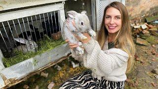 Life in Ukrainian Countryside: Something New on Our Farm!
