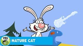 NATURE CAT | Clouds | PBS KIDS