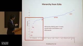 Computational Neuroscience of Elemental Cognition (3) - Stanislas Dehaene (2018-2019)