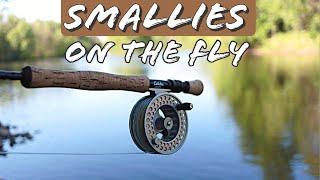 Fly Fishing River Smallmouth Bass | Upper Peninsula Michigan