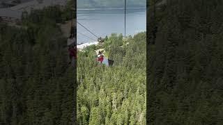Zip Rider - Icy Strait Point - (Hoonah, AK)